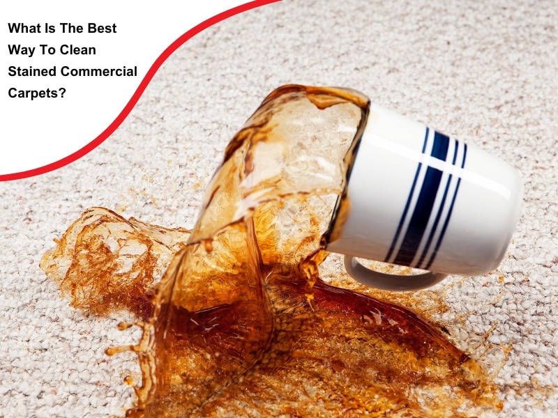 A spilled cup of coffee stains a light-coloured carpet. Learn how to clean stained carpet effectively.