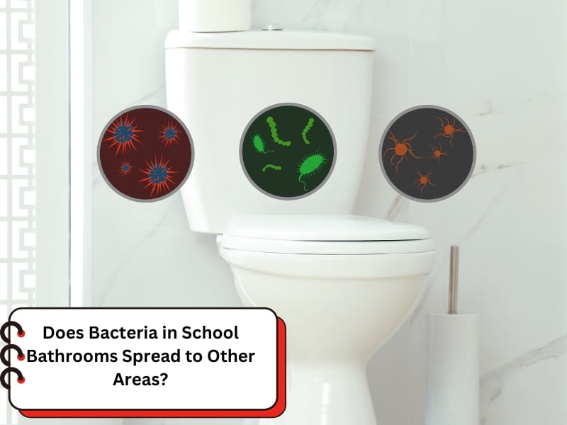 Close-up of a school bathroom toilet, highlighting bacteria in school bathrooms and the importance of hygiene.