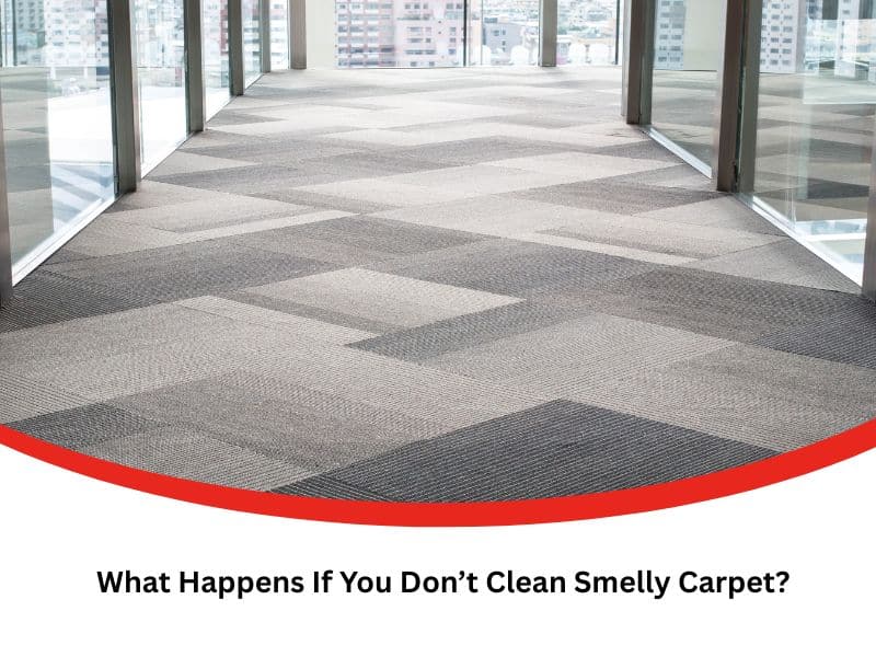 Freshly vacuumed office hallway showing results of efforts to clean smelly carpet